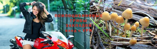твердый Волоколамск