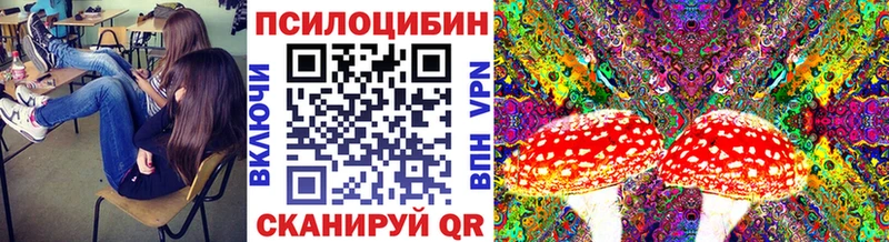 Купить закладки Ивантеевка Псилоцибиновые грибы прущие грибы
